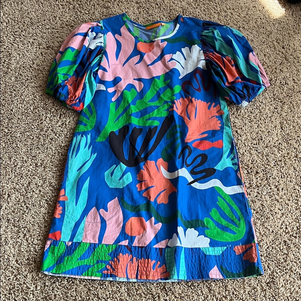 Oliphant Blue and Green Patterned Dress